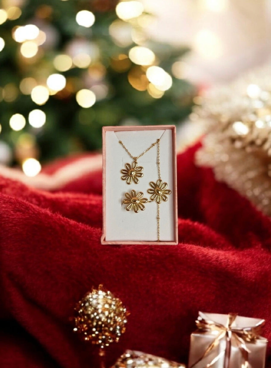 Coffret de Noël 🎄